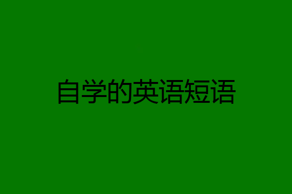 自学的英语短语