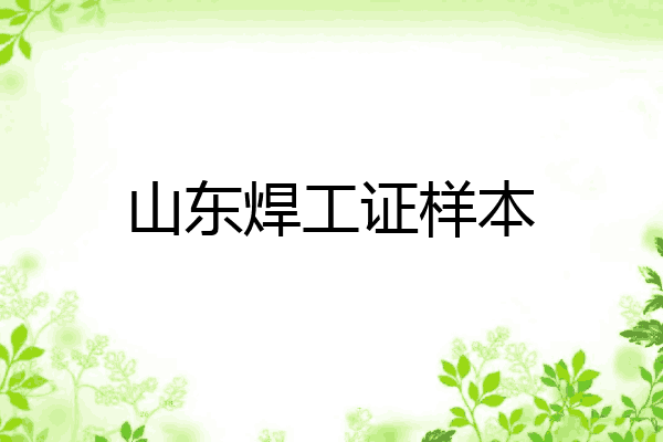 山东焊工证样本
