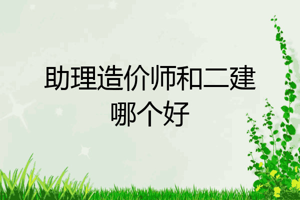 助理造价师和二建哪个好