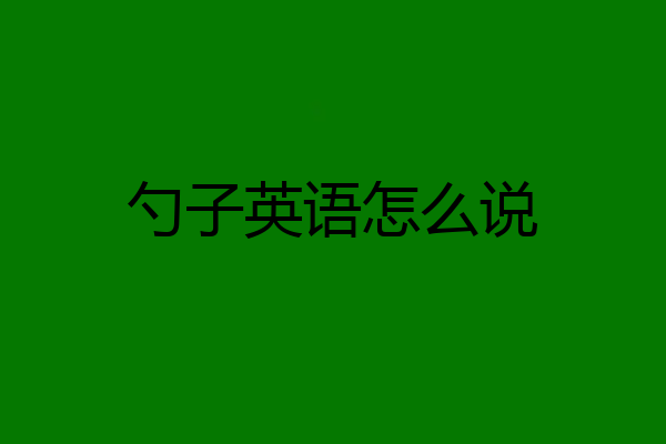 勺子英语怎么说