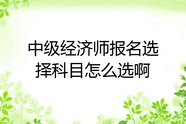 中级经济师报名选择科目怎么选啊