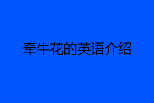 牵牛花的英语介绍
