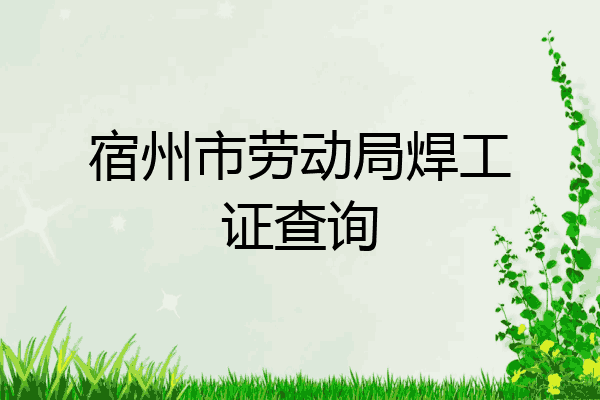 宿州市劳动局焊工证查询