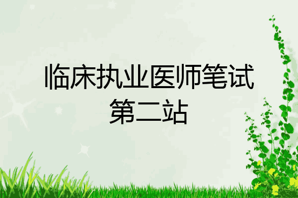 临床执业医师笔试第二站