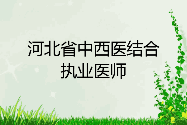 河北省中西医结合执业医师