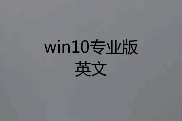 win10专业版英文
