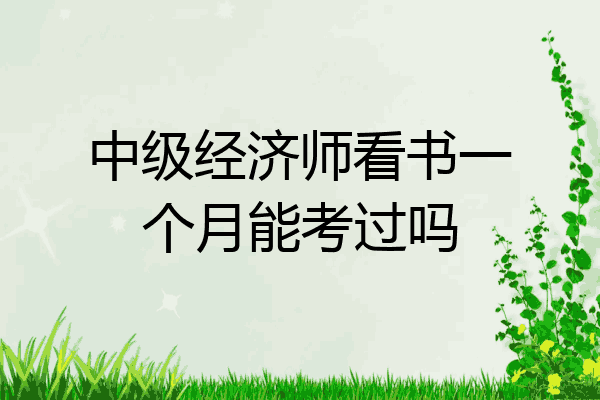 中级经济师看书一个月能考过吗