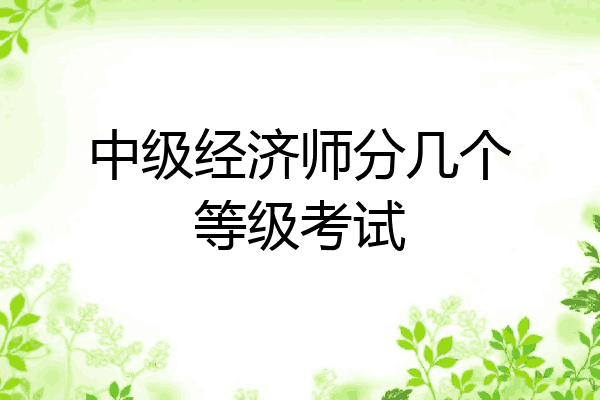中级经济师分几个等级考试