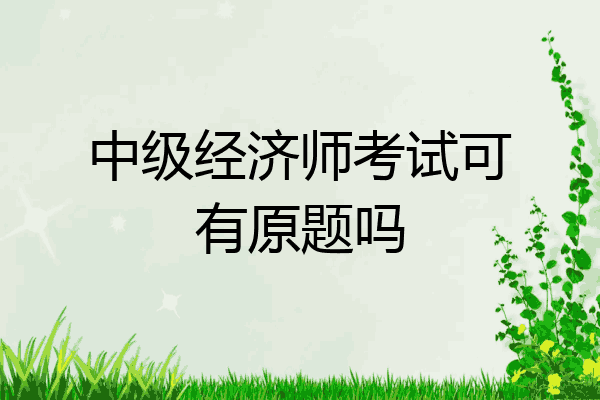 中级经济师考试可有原题吗