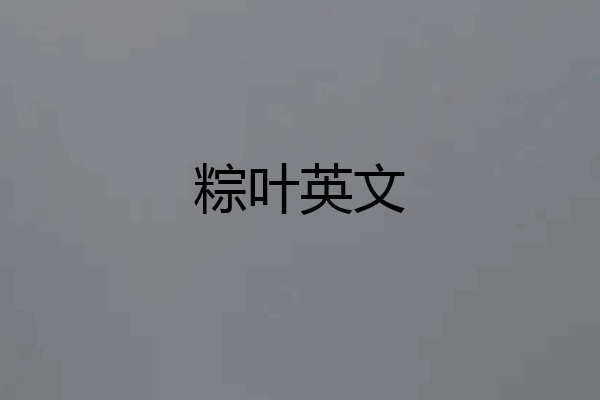 粽叶英文