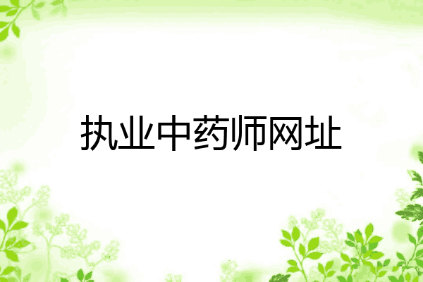 执业中药师网址