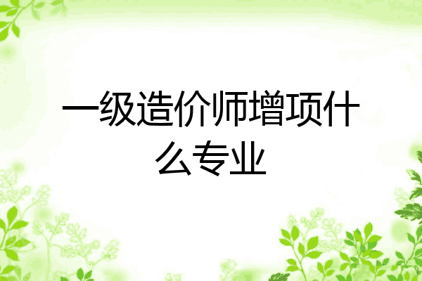 一级造价师增项什么专业