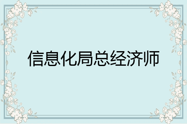 信息化局总经济师