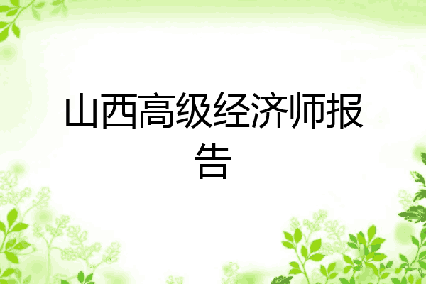 山西高级经济师报告