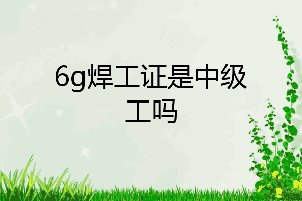 6g焊工证是中级工吗