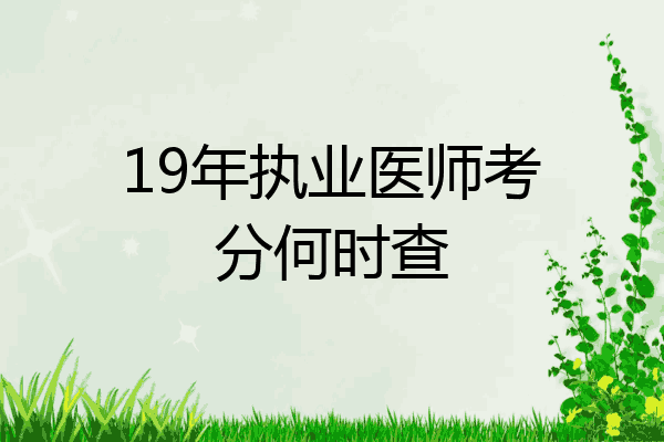 19年执业医师考分何时查