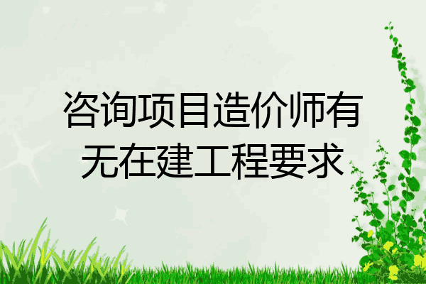 咨询项目造价师有无在建工程要求