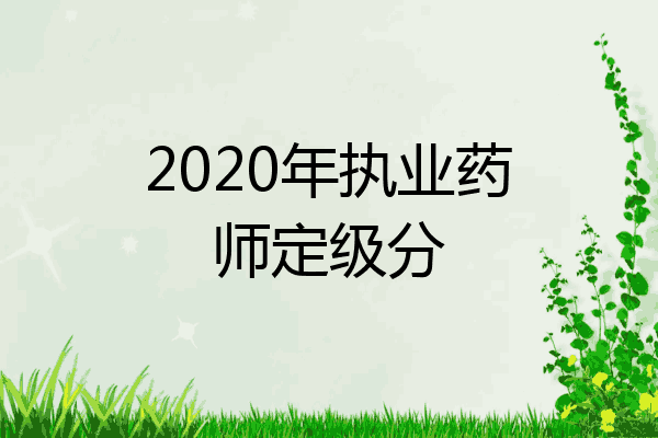 2020年执业药师定级分