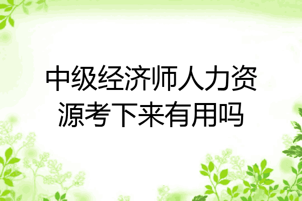 中级经济师人力资源考下来有用吗