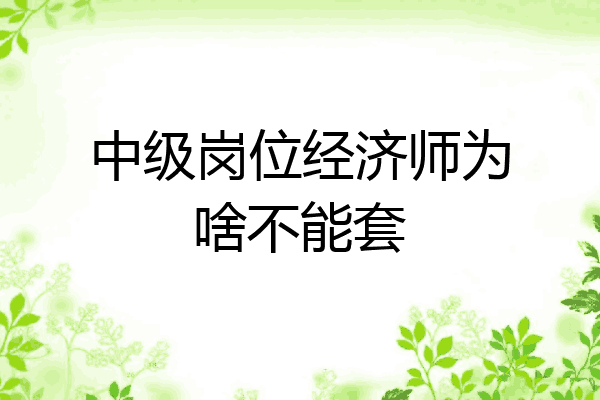 中级岗位经济师为啥不能套