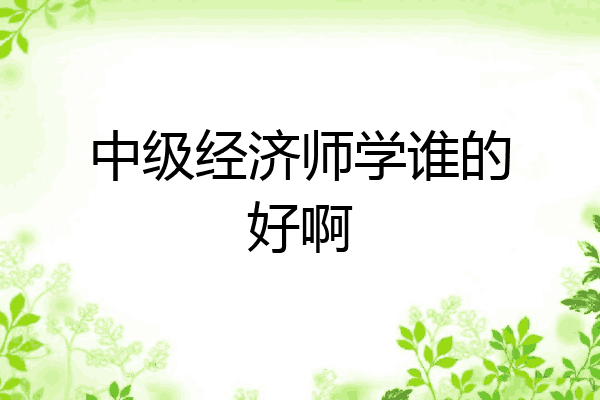 中级经济师学谁的好啊