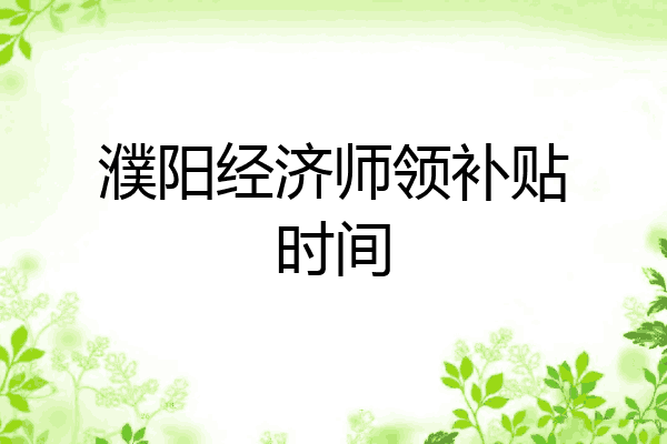 濮阳经济师领补贴时间