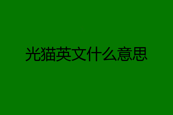光猫英文什么意思