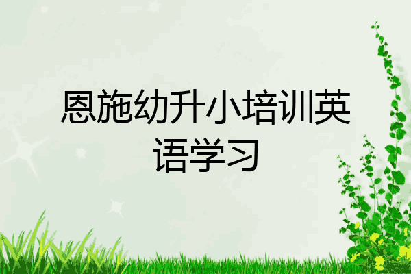 恩施幼升小培训英语学习