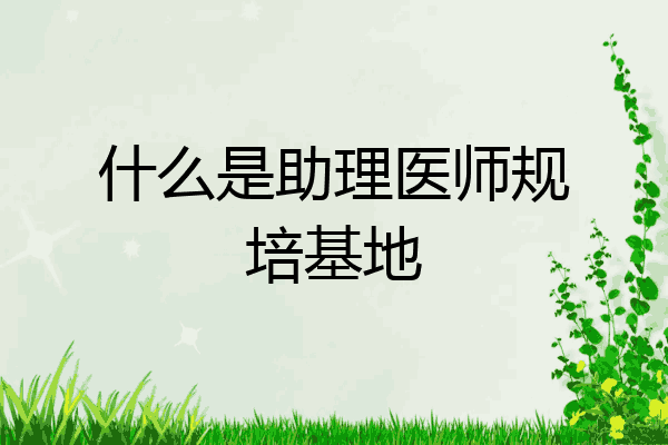 什么是助理医师规培基地