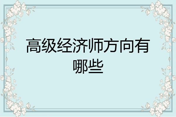 高级经济师方向有哪些