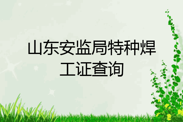 山东安监局特种焊工证查询