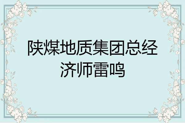 陕煤地质集团总经济师雷鸣