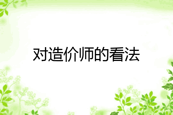 对造价师的看法