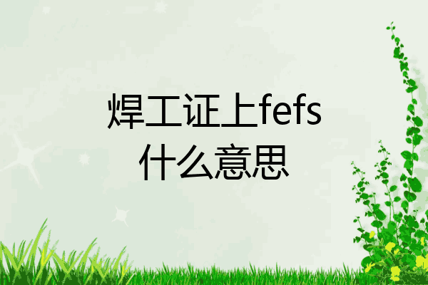 焊工证上fefs什么意思
