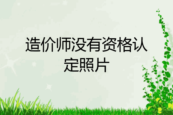 造价师没有资格认定照片