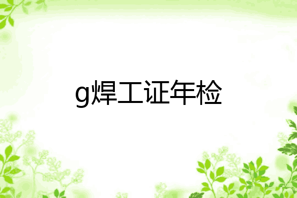 g焊工证年检