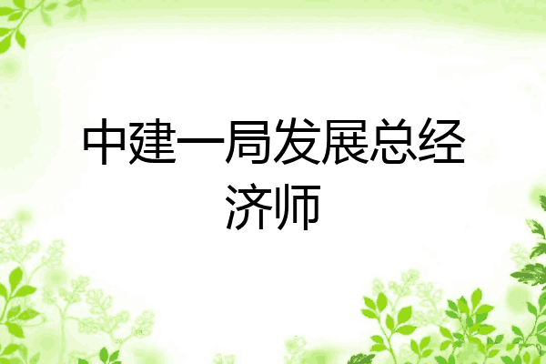 中建一局发展总经济师