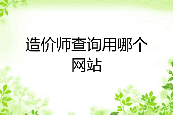 造价师查询用哪个网站