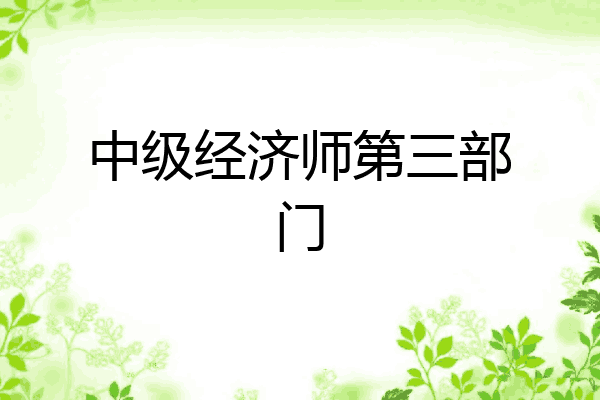 中级经济师第三部门