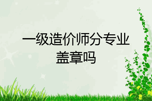 一级造价师分专业盖章吗