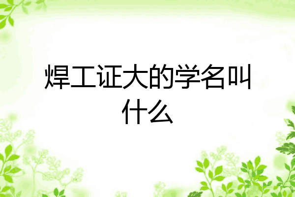 焊工证大的学名叫什么