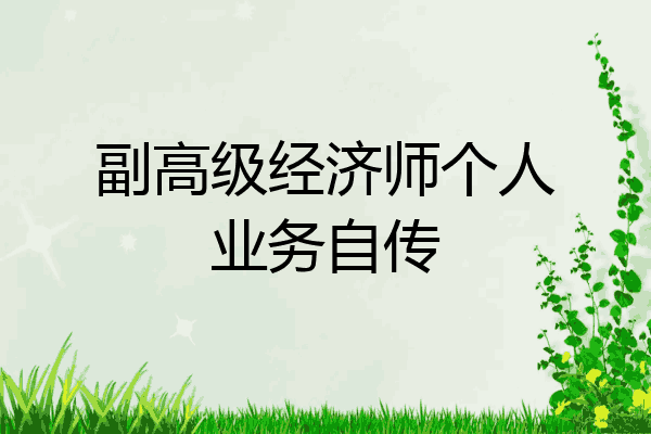 副高级经济师个人业务自传