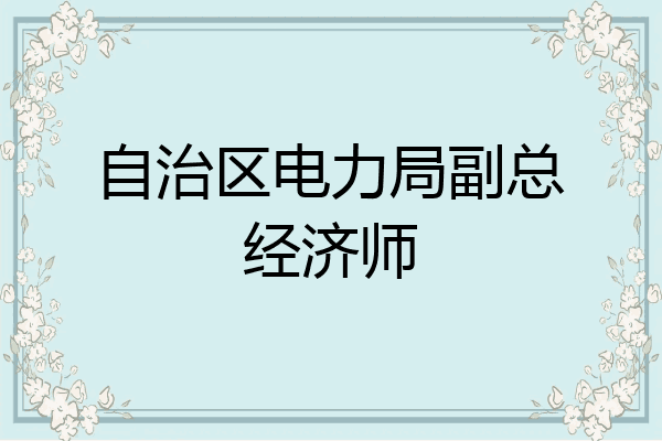自治区电力局副总经济师