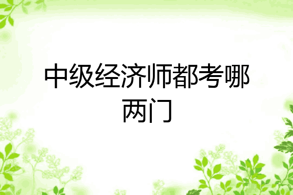 中级经济师都考哪两门