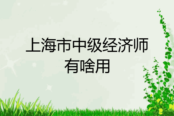 上海市中级经济师有啥用