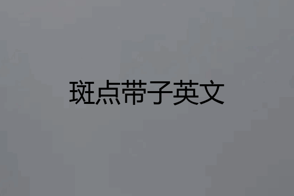斑点带子英文