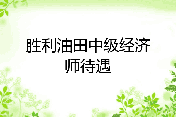 胜利油田中级经济师待遇