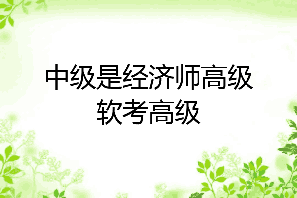 中级是经济师高级软考高级