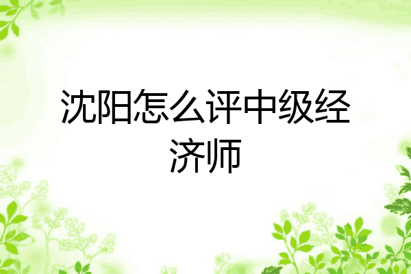 沈阳怎么评中级经济师