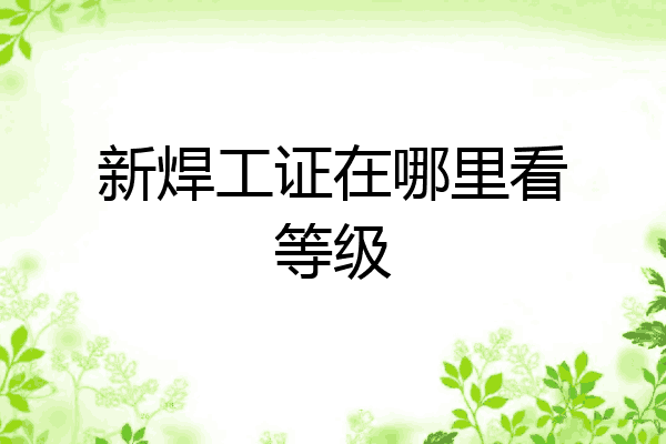 新焊工证在哪里看等级